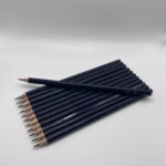 100024 Staples potloden meerdere